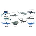 Safari Ltd. Tuba Rybovití obratlovci – Hledejceny.cz