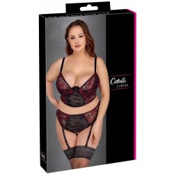 Cottelli Curves Longline Bra & Suspender Thong 2-Tone Lace Set