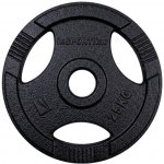 inSPORTline Hamerton Ocelový olympijský kotouč 25 kg 50mm – Hledejceny.cz