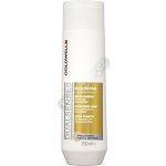 Goldwell Dualsenses Rich Repair Shampoo 250 ml – Zbozi.Blesk.cz