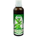Naděje Kaštan pravý tinktura z pupenů rostlin 50 ml – Hledejceny.cz