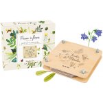 Moulin Roty Dřevěný lis na květiny Le Jardin du Moulin – Hledejceny.cz