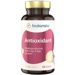 Balansio Antioxidant 90 kapslí – Hledejceny.cz