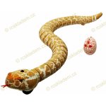 RCskladem RC had Rattle Snake RTR 20667425 zelená oranžová 1:1 – Zboží Dáma