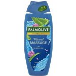 Palmolive Wellness Massage sprchový gel 500 ml – Sleviste.cz