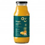 Beggs BIO Nápoj tropické ovoce 300 ml – Sleviste.cz