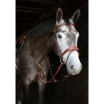 Kentaur Nashville tabák/zlatá – Zboží Dáma