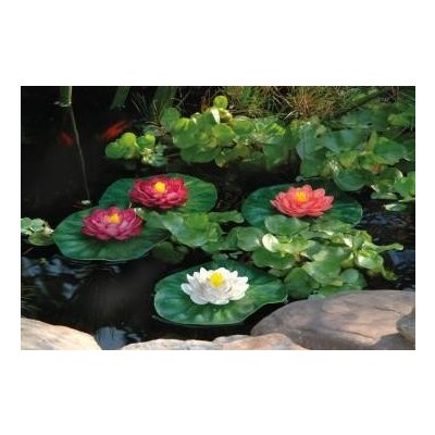 Pontec PondoLily Set 3 - plovoucí lekníny – Sleviste.cz