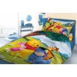 Faro povlečení Medvídek Pú mnohobarvené 100x135 cm 40x60 cm – Hledejceny.cz