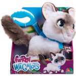 Hasbro FurReal Walk-A-Lots Interaktivní kotě Ragdoll 23 cm – Hledejceny.cz