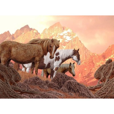 Nova Divocí koně 1000 dílků – Zboží Mobilmania