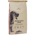 Magnusson Junior 2 x 10 kg – Hledejceny.cz