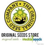 Original Sensible Seeds Apple Fritter AUTO semena neobsahují THC 5 ks – Zboží Dáma
