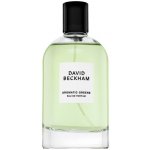David Beckham Aromatic Greens parfémovaná voda pánská 100 ml – Zboží Mobilmania