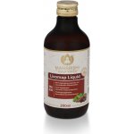 Maharishi Ayurveda Sirup Livomap Liquid 200 ml – Hledejceny.cz