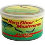 Lucky Reptile Herp Diner - mouční červi 35g – Hledejceny.cz