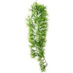 Hobby Tropica 70 cm – Sleviste.cz