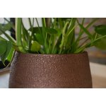 Ter Steege Váza Noor velvet brown D23 H36 – Hledejceny.cz