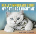 Really Important Stuff My Cat Has Taught Me – Hledejceny.cz