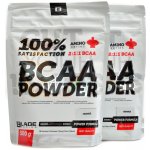 HiTec Nutrition BCAA 2-1-1 1000 g – Hledejceny.cz