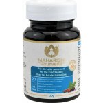 Maharishi Ayurveda For the Cold Season 20 tablet – Hledejceny.cz