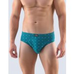 Gina pánské slipy se širším bokem šité s potiskem – Zboží Dáma