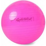 PEZZI GymBall 65 cm – Zboží Dáma