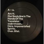 Our Souls Are In The Hands Of The Translator - sɪŋkrɪtɪzəm LP – Zboží Mobilmania