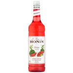 Monin Le Sirop Watermelon Vodní meloun 1 l – Zboží Mobilmania