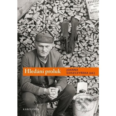 Hledání proluk – Hledejceny.cz