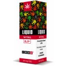 CBDex Liquid Vital 03% 10 ml 30 mg