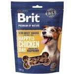 Brit Premium by Nature SM Snacks Chicken 180 g – Hledejceny.cz