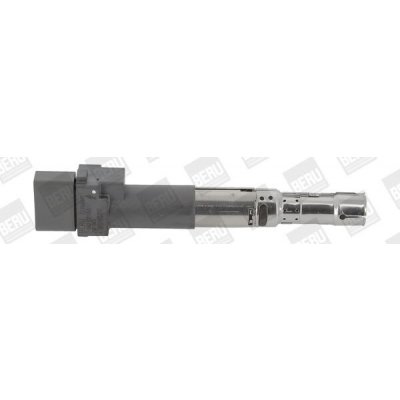 Zapalovací cívka BorgWarner (BERU) ZSE063 – Hledejceny.cz