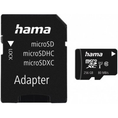Hama microSDXC 256GB 13117 – Zbozi.Blesk.cz