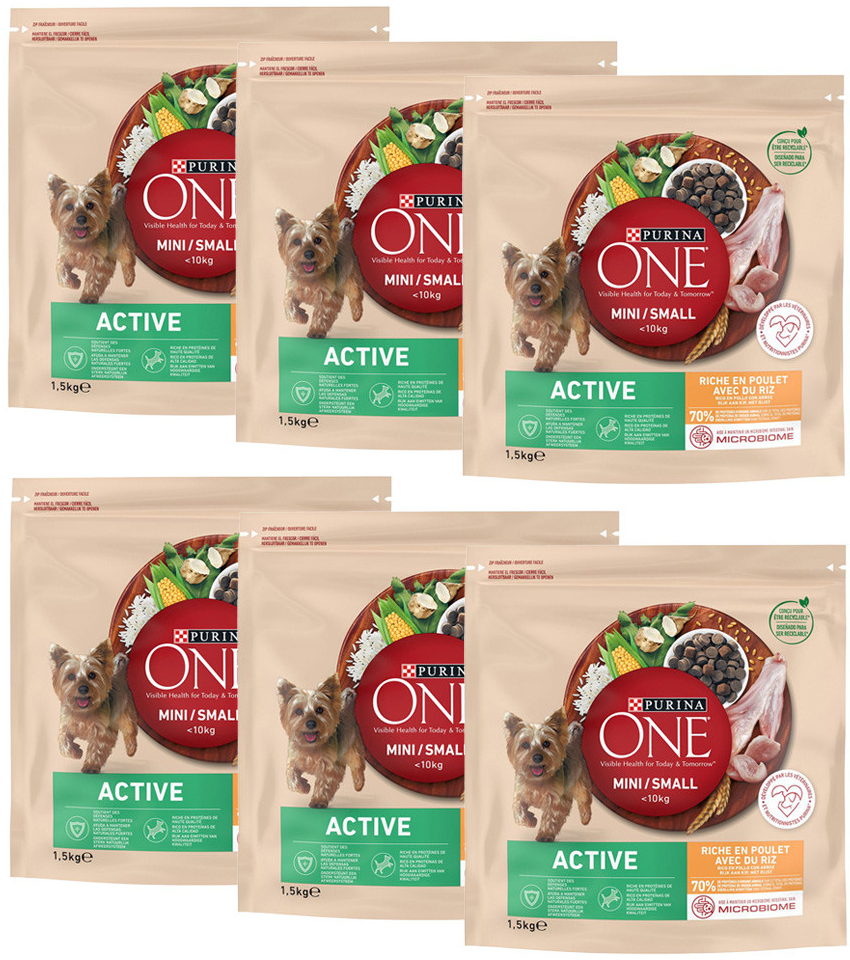 Purina ONE Mini Active Chicken & Rice 12 x 1,5 kg 18 kg