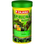 Dajana Spirulina Wafers 100 ml – Sleviste.cz