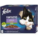 Krmivo pro kočky Felix Fantastic Lahodný výběr se zeleninou v želé s hovězím kuřetem lososem a pstruhem 12 x 85 g
