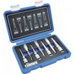 Narex Professional 443000960 Sada hlavic 1/2" zástrčných XZN M5-16 L100mm 7dílná – Hledejceny.cz