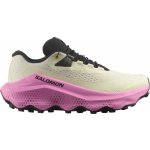 Salomon trailové boty Ultra Glide 3 W L47874500 – Zboží Dáma