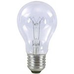 TES-LAMP žárovka 25W E27 čirá standard – Zboží Živě