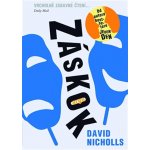 Záskok - David Nicholls – Hledejceny.cz