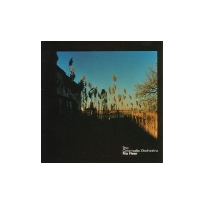 Cinematic Orchestra - Ma Fleur LP