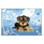 Karton P+P podložka na stůl Junior mix motivů 60 x 40 cm – Zboží Dáma