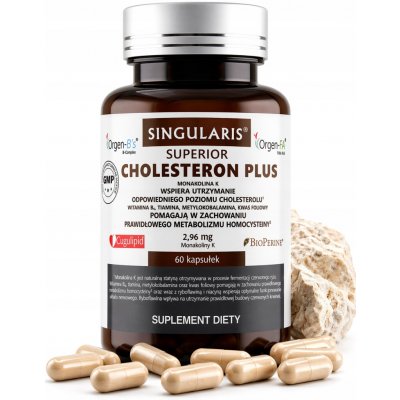 Singularis Superior Cholesteron Plus 60 kapslí – Hledejceny.cz