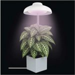 EMOS Z7901 – Zboží Mobilmania