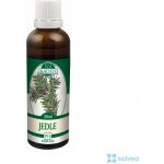 Naděje Jedle tinktura z pupenů 50 ml – Hledejceny.cz