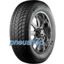 Zeta Antarctica 5 195/65 R15 91H