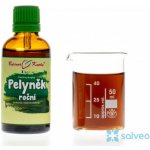 Bylinné kapky Pelyněk roční 50 ml – Hledejceny.cz