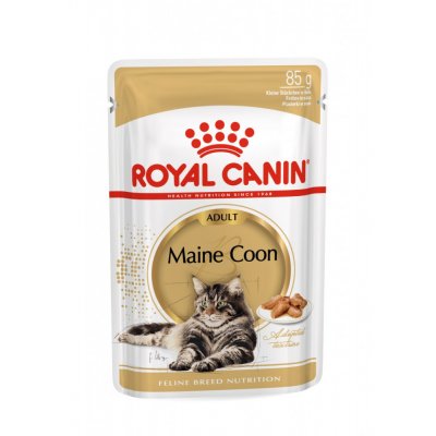 Royal Canin Cat Mainecoon 12 x 85 g – Zboží Mobilmania