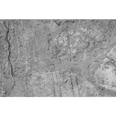 Dimex MA-5-0173 Samolepicí vliesová fototapeta na zeď Betonová podlaha rozměry 375 x 250 cm – Zboží Mobilmania